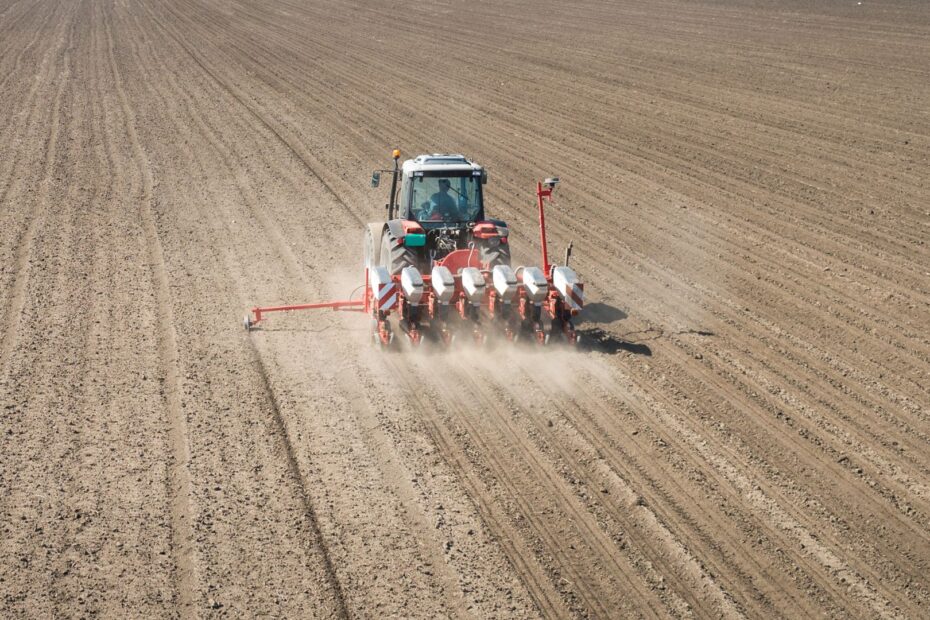 Zaprawa do rzepaku ozimego – skuteczna ochrona przed szkodnikami i chorobami od siewu