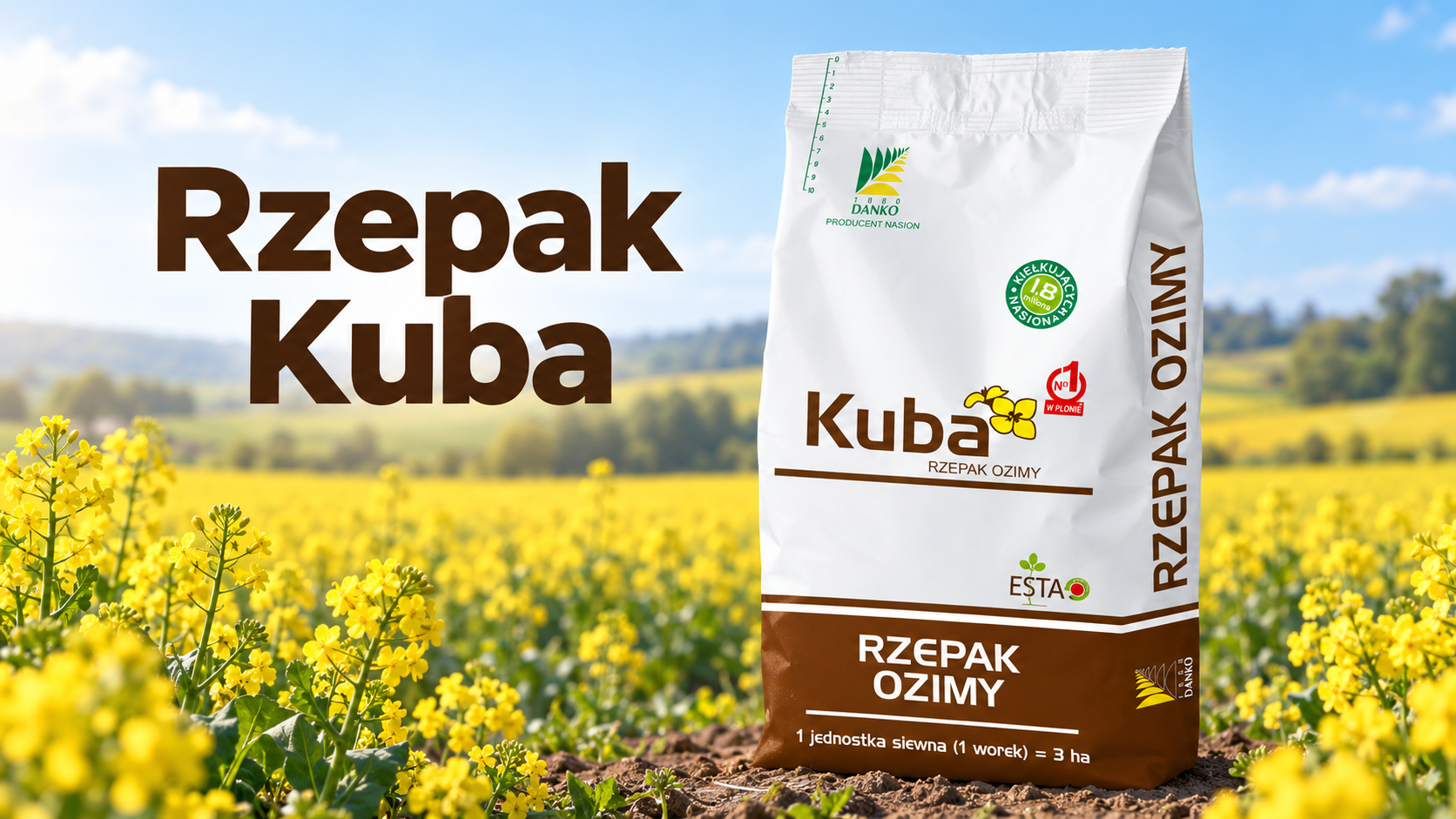 Rzepak Kuba