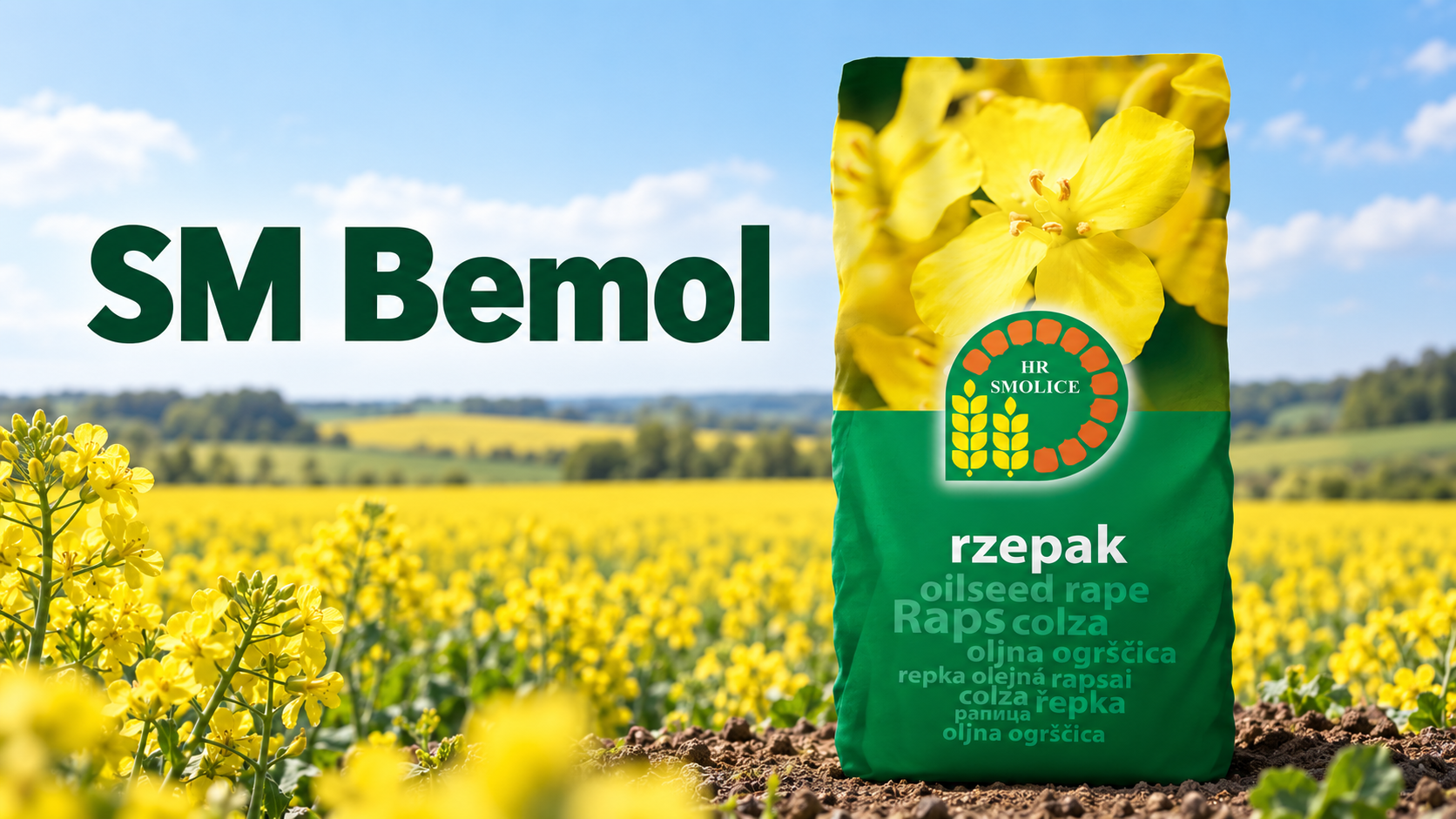 Rzepak SM Bemol